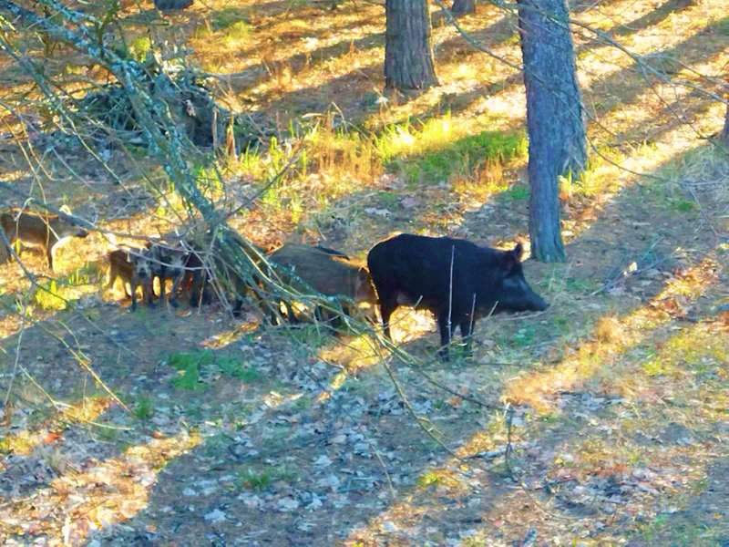 Ретрит-центр фото 13