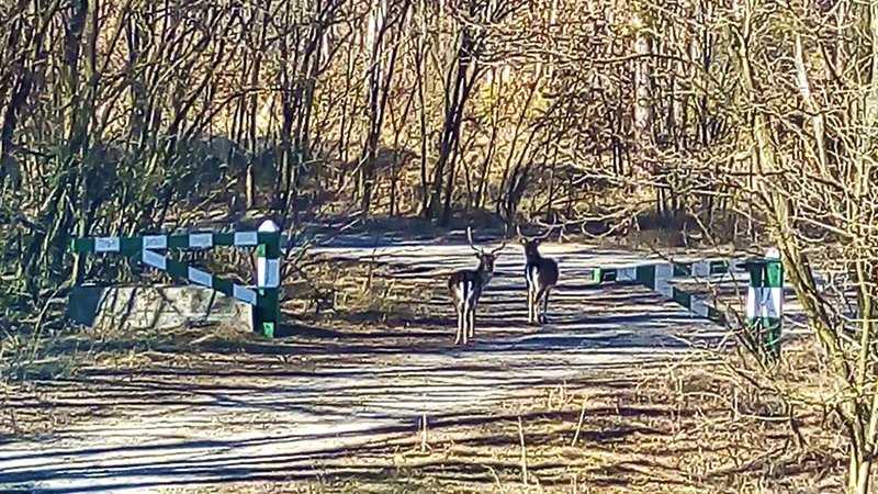 Ретрит-центр фото 14