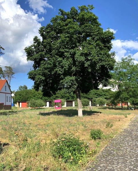 Ретрит-центр фото 4